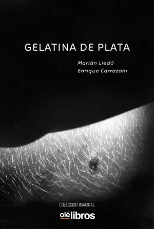 GELATINA DE PLATA